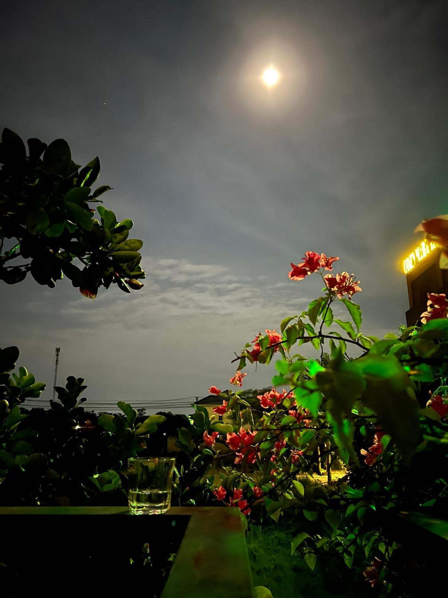Tam Coc Golden Sun Villa Vu Lam Екстериор снимка